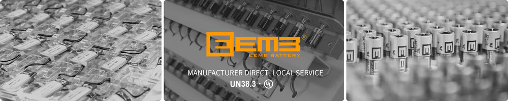 EEMB Rechargeable & Primary Lithium Batteries,Custom Battery Pack/Pins